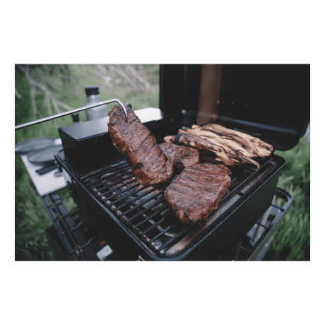 Traeger Grills® Ranger Table Top Pellet Grill