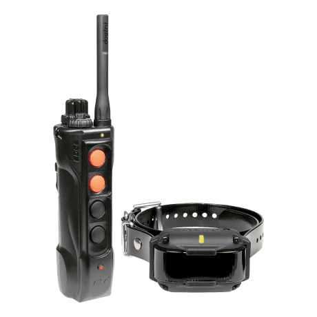 Dogtra Edge RT Expandable