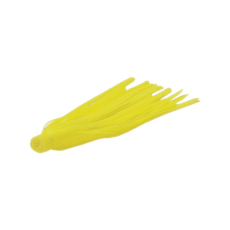 Canary