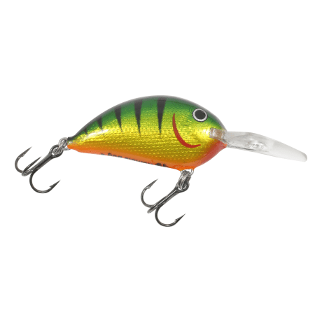 Gold Perch