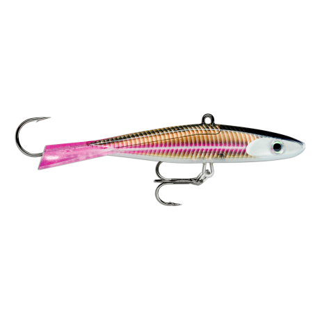 Live Smelt