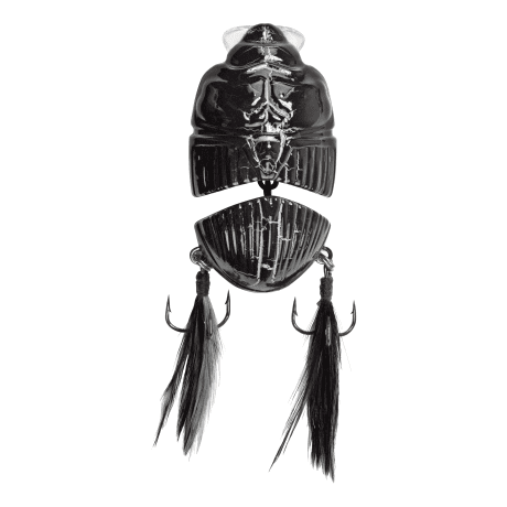 Carabus