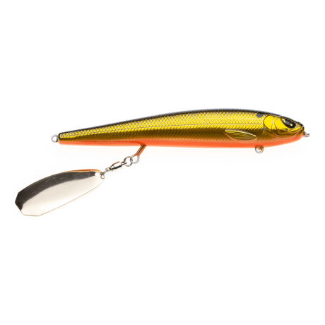 Golden Shiner