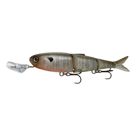 Bluegill
