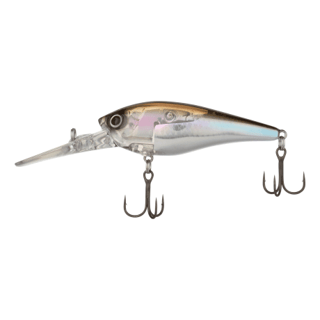 Smelt
