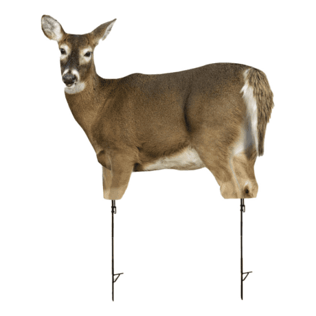Montana Trixie Whitetail Doe