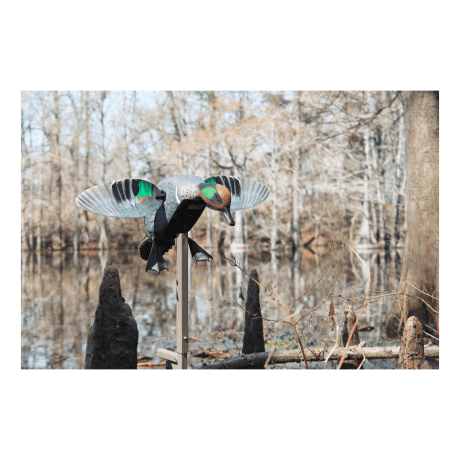 MOJO® Outdoors Elite Series™ Green-Winged Teal Motorized Duck Decoy