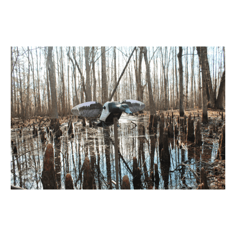 MOJO® Outdoors Elite Series™ Diver Bluebill Motorized Duck Decoy
