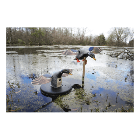 MOJO® Outdoors Elite Series™ Floater Mallard and Mini Mallard Motorized Duck Decoy Combo