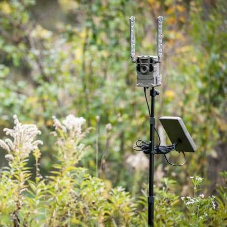 Tactacam® REVEAL Adjustable Camera Stake