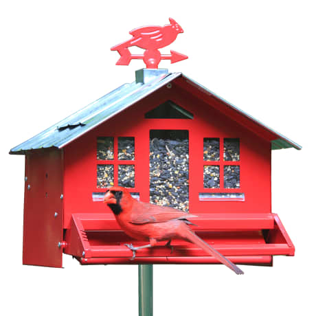 Perky-Pet® Squirrel-Be-Gone II Country Style Bird Feeder