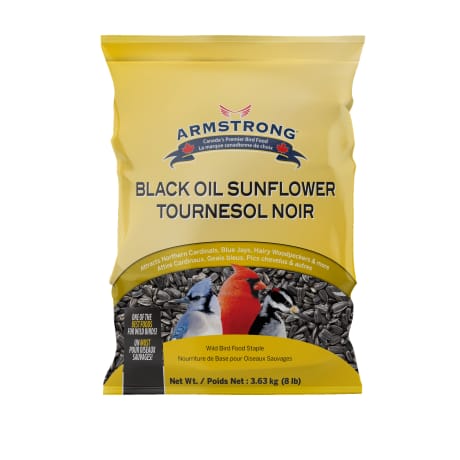 Armstrong Black Oil Sunflower Seeds 