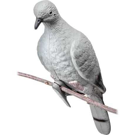 Cabela’s® Dove Decoy 6-Pack