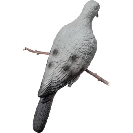 Cabela’s® Dove Decoy 6-Pack
