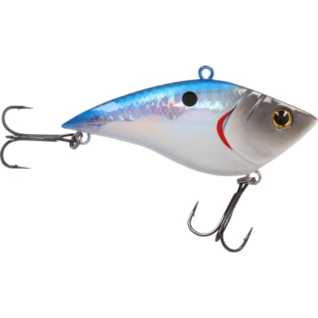Bass Pro Shops® XPS® Rattle Shad®