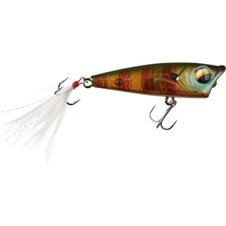 Bass Pro Shops® XPS® Popper
