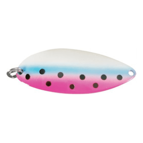 Rainbow Trout