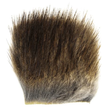 SHOR Muskrat