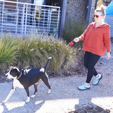 Nite Ize RadDog™ Retractable Pocket Leash Large
