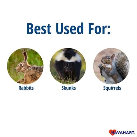 Havahart® Easy Set® Small 1-Door Animal Trap