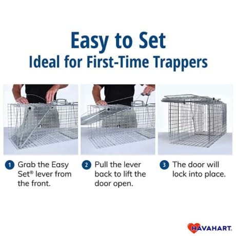 Havahart® Easy Set® Small 1-Door Animal Trap
