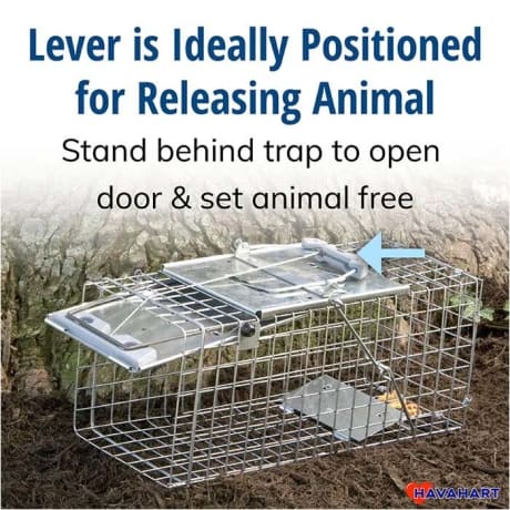 Havahart® Easy Set® Small 1-Door Animal Trap