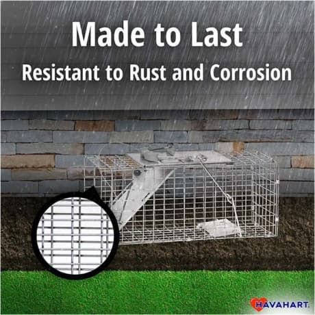 Havahart® Easy Set® Small 1-Door Animal Trap
