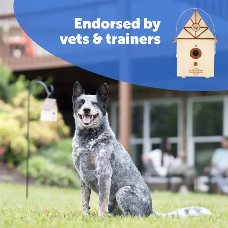 PetSafe® Outdoor Bark Control