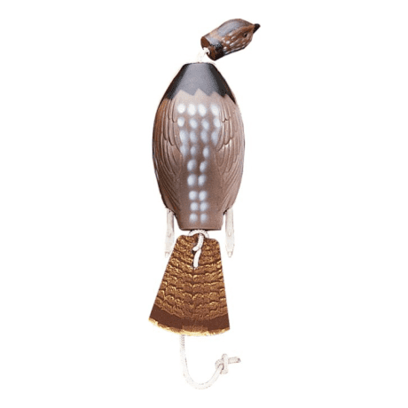 Dokken DeadFowl Ruffed Grouse Trainer