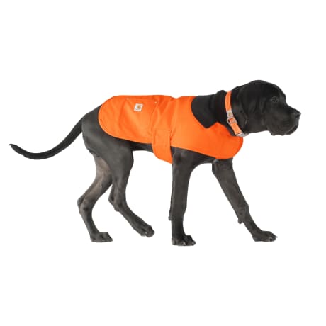 Carhartt® Firm Duck Insulated Dog Chore Coat