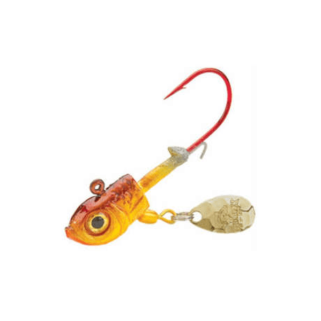 Gold Shiner