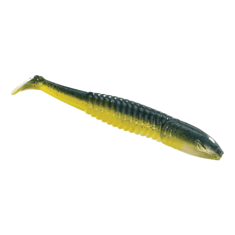 SS Shad