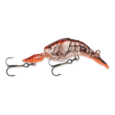 Phantom Brown Crayfish