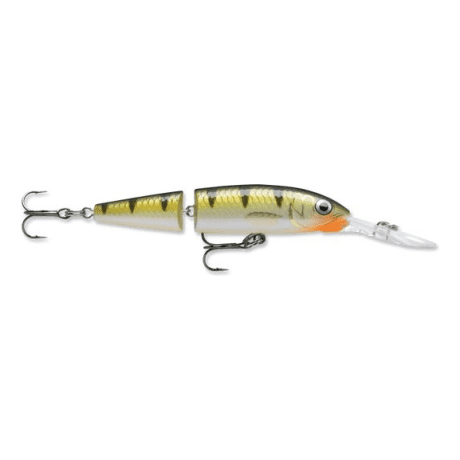 Yellow Perch