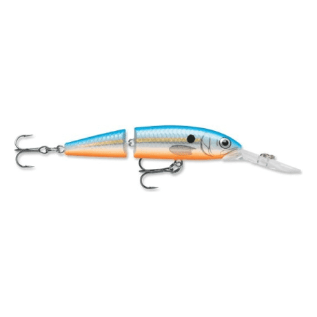 Blue Shad