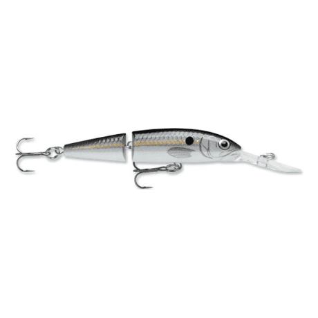 Silver Shad