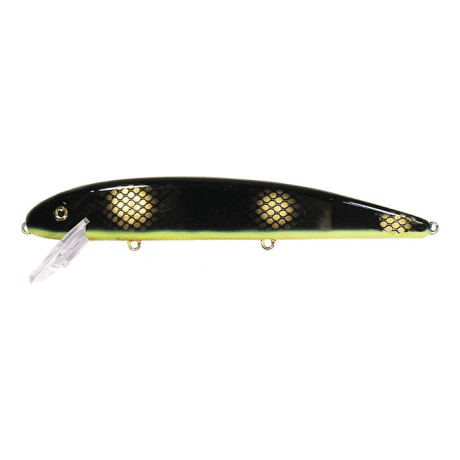 Black Perch