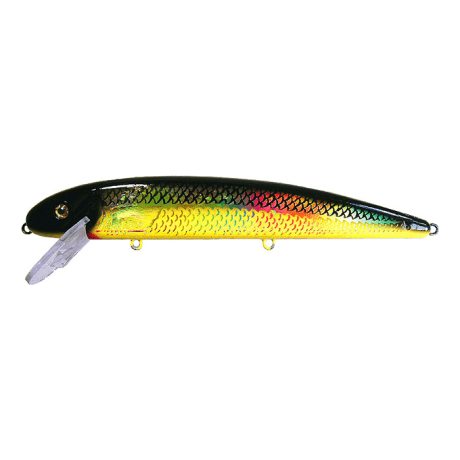 Holoform Golden Shiner