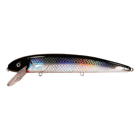 Holoform Silver Shiner