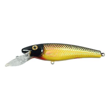 Holoform Golden Shiner