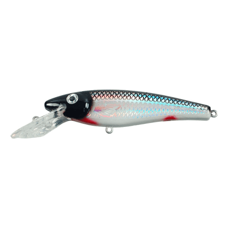 Holoform Silver Shiner