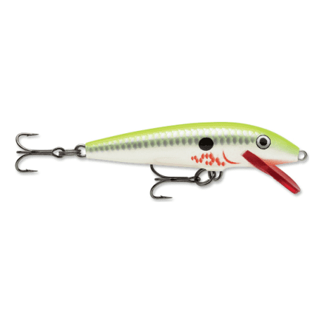 Bleeding Chartreuse Shad