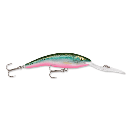 Rainbow Trout