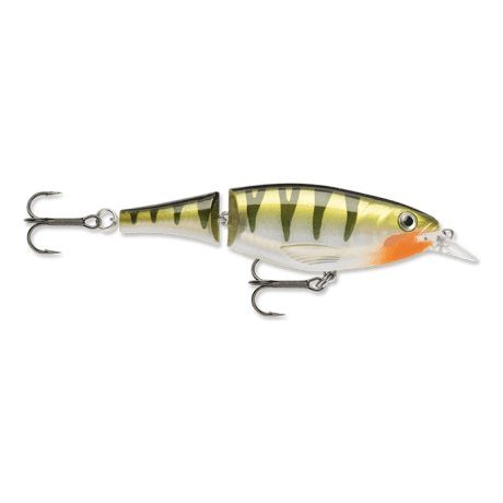 Yellow Perch
