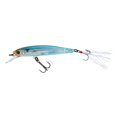 Real Blueblack Herring