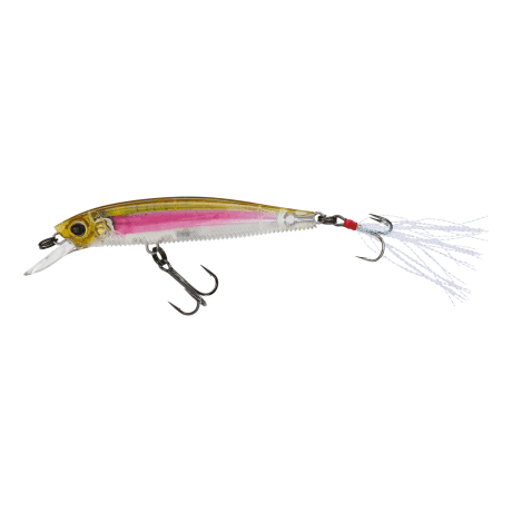 Real Rainbow Trout