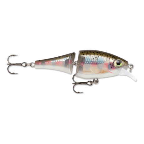 Rainbow Trout