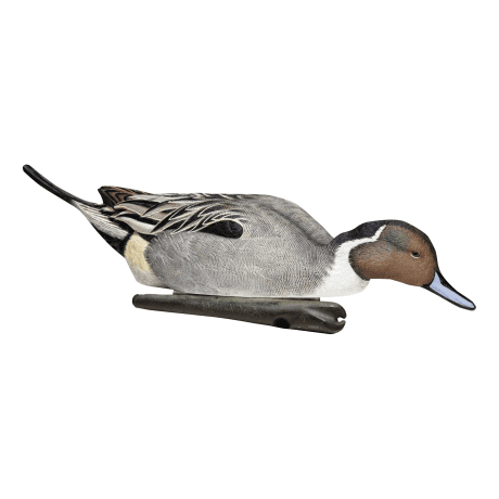 Avian-X Topflight Pintail Decoys – 6-Pack