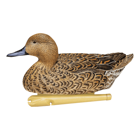 Avian-X Topflight Pintail Decoys – 6-Pack