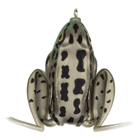 Rocky Toad
